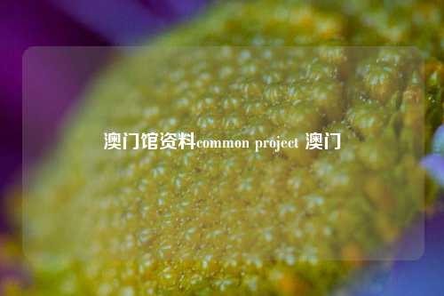 澳门馆资料common project 澳门-第1张图片-特色小吃做法