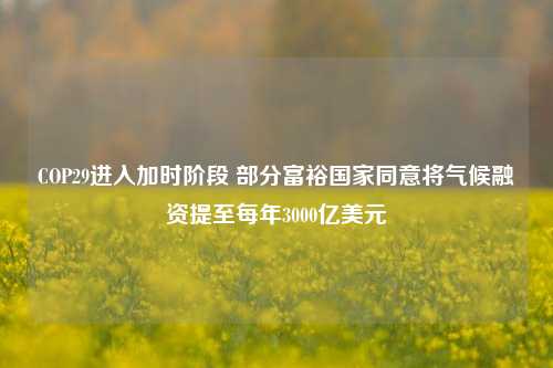 COP29进入加时阶段 部分富裕国家同意将气候融资提至每年3000亿美元-第1张图片-特色小吃做法