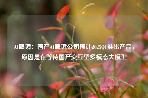 AI眼镜：国产AI眼镜公司预计2025Q1推出产品，原因是在等待国产交互型多模态大模型-第1张图片-特色小吃做法