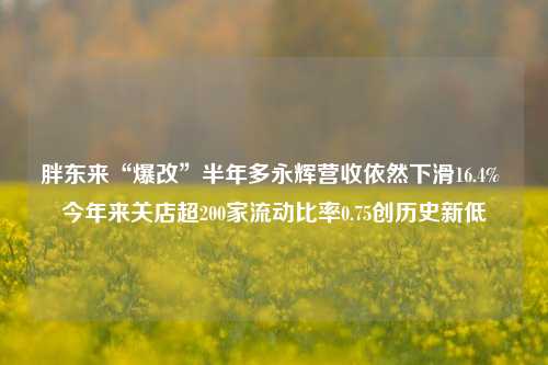 胖东来“爆改”半年多永辉营收依然下滑16.4% 今年来关店超200家流动比率0.75创历史新低-第1张图片-特色小吃做法