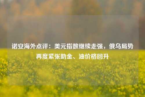 诺安海外点评：美元指数继续走强，俄乌局势再度紧张助金、油价格回升-第1张图片-特色小吃做法