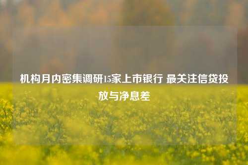 机构月内密集调研15家上市银行 最关注信贷投放与净息差-第1张图片-特色小吃做法