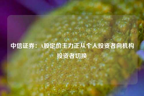 中信证券：A股定价主力正从个人投资者向机构投资者切换-第1张图片-特色小吃做法