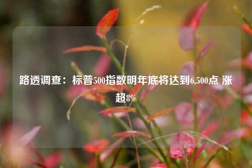 路透调查：标普500指数明年底将达到6,500点 涨超8%-第1张图片-特色小吃做法