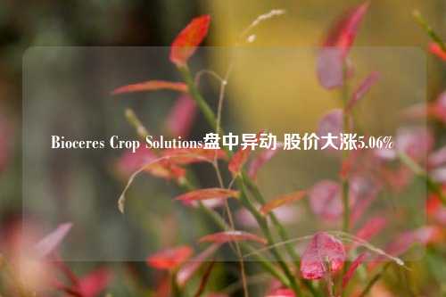 Bioceres Crop Solutions盘中异动 股价大涨5.06%-第1张图片-特色小吃做法