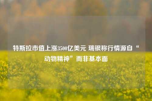 特斯拉市值上涨3500亿美元 瑞银称行情源自“动物精神”而非基本面-第1张图片-特色小吃做法