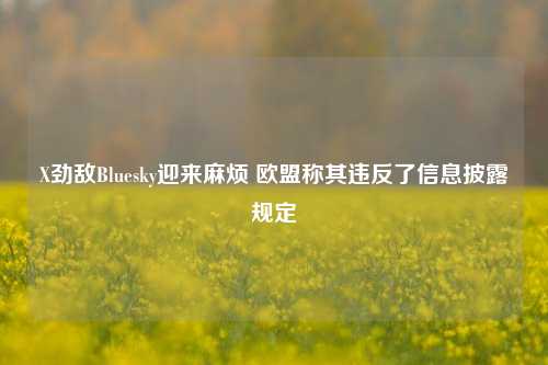 X劲敌Bluesky迎来麻烦 欧盟称其违反了信息披露规定-第1张图片-特色小吃做法