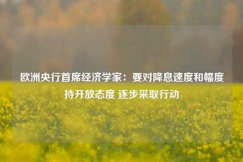 欧洲央行首席经济学家：要对降息速度和幅度持开放态度 逐步采取行动-第1张图片-特色小吃做法