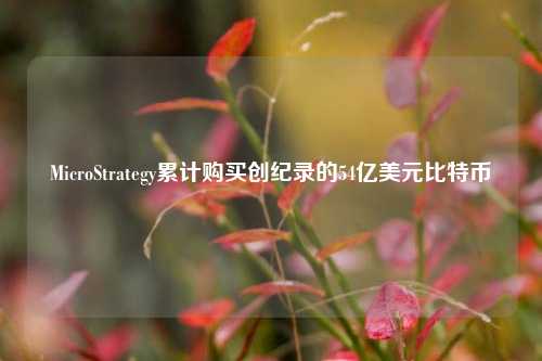 MicroStrategy累计购买创纪录的54亿美元比特币-第1张图片-特色小吃做法