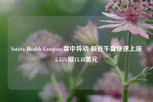 Sotera Health Company盘中异动 临近午盘快速上涨5.15%报13.48美元-第1张图片-特色小吃做法