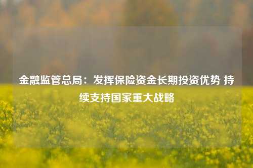 金融监管总局：发挥保险资金长期投资优势 持续支持国家重大战略-第1张图片-特色小吃做法