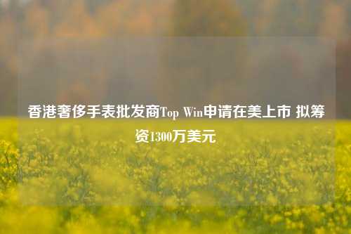 香港奢侈手表批发商Top Win申请在美上市 拟筹资1300万美元-第1张图片-特色小吃做法