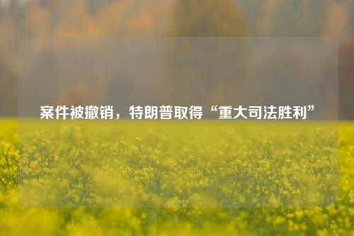 案件被撤销，特朗普取得“重大司法胜利”-第1张图片-特色小吃做法