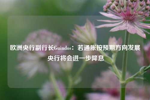 欧洲央行副行长Guindos：若通胀按预期方向发展 央行将会进一步降息-第1张图片-特色小吃做法