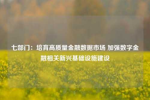 七部门：培育高质量金融数据市场 加强数字金融相关新兴基础设施建设-第1张图片-特色小吃做法