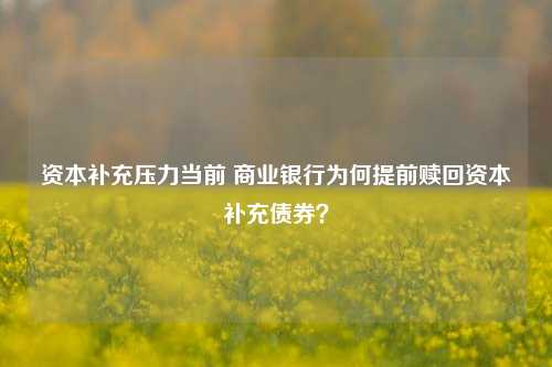 资本补充压力当前 商业银行为何提前赎回资本补充债券？-第1张图片-特色小吃做法