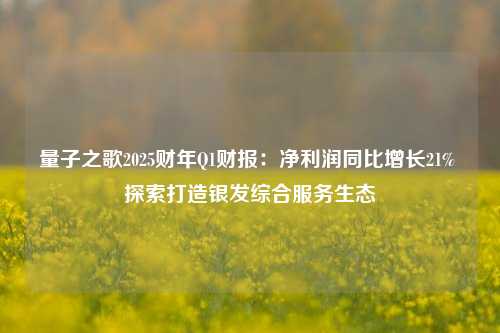 量子之歌2025财年Q1财报：净利润同比增长21% 探索打造银发综合服务生态-第1张图片-特色小吃做法