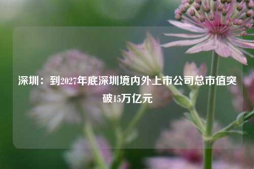 深圳：到2027年底深圳境内外上市公司总市值突破15万亿元-第1张图片-特色小吃做法