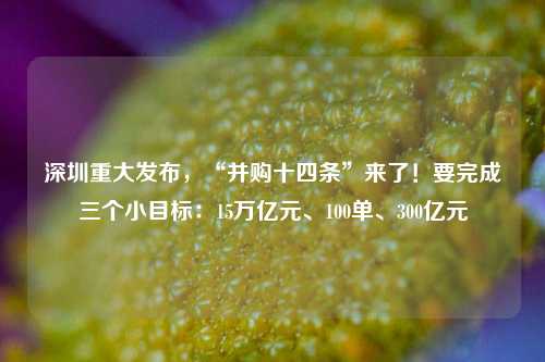 深圳重大发布，“并购十四条”来了！要完成三个小目标：15万亿元、100单、300亿元-第1张图片-特色小吃做法