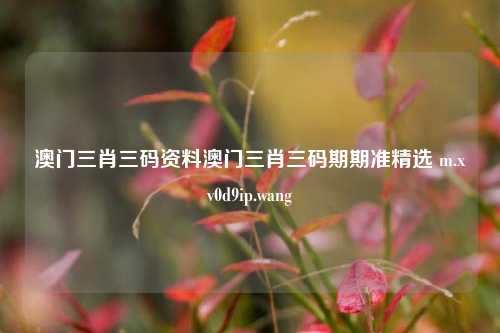 澳门三肖三码资料澳门三肖三码期期准精选 m.xv0d9ip.wang-第1张图片-特色小吃做法