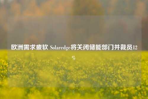 欧洲需求疲软 Solaredge将关闭储能部门并裁员12%-第1张图片-特色小吃做法