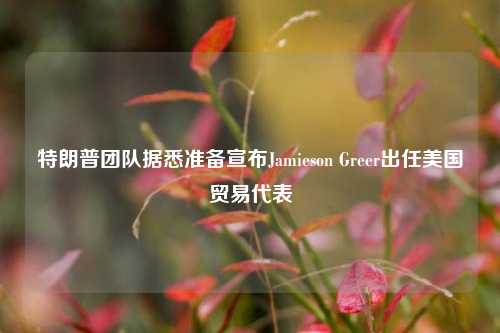 特朗普团队据悉准备宣布Jamieson Greer出任美国贸易代表-第1张图片-特色小吃做法