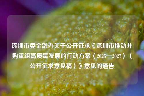 深圳市委金融办关于公开征求《深圳市推动并购重组高质量发展的行动方案（2025—2027）（公开征求意见稿）》意见的通告-第1张图片-特色小吃做法