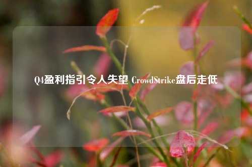 Q4盈利指引令人失望 CrowdStrike盘后走低-第1张图片-特色小吃做法