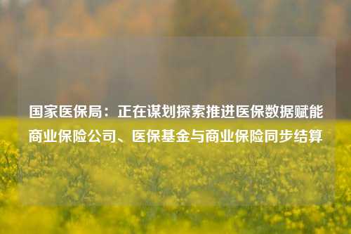 国家医保局：正在谋划探索推进医保数据赋能商业保险公司、医保基金与商业保险同步结算-第1张图片-特色小吃做法