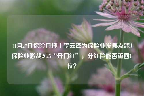 11月27日保险日报丨李云泽为保险业发展点题！保险业激战2025“开门红”，分红险能否重回C位？-第1张图片-特色小吃做法