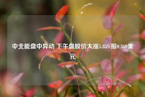 中北能盘中异动 下午盘股价大涨5.85%报0.360美元-第1张图片-特色小吃做法