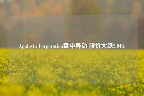 Applovin Corporation盘中异动 股价大跌5.04%-第1张图片-特色小吃做法