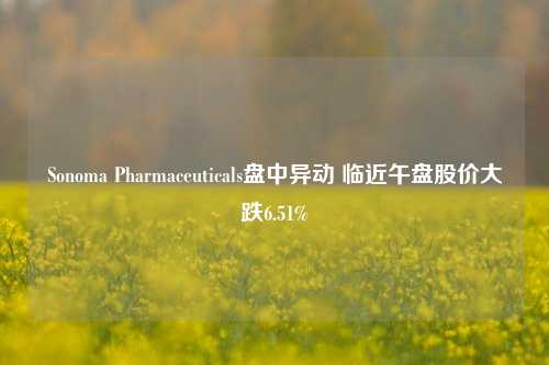 Sonoma Pharmaceuticals盘中异动 临近午盘股价大跌6.51%-第1张图片-特色小吃做法