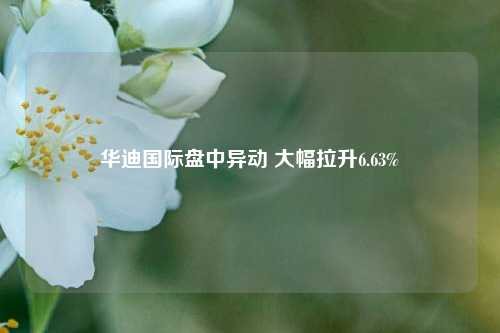 华迪国际盘中异动 大幅拉升6.63%-第1张图片-特色小吃做法