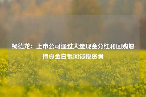 杨德龙：上市公司通过大量现金分红和回购增持真金白银回馈投资者-第1张图片-特色小吃做法