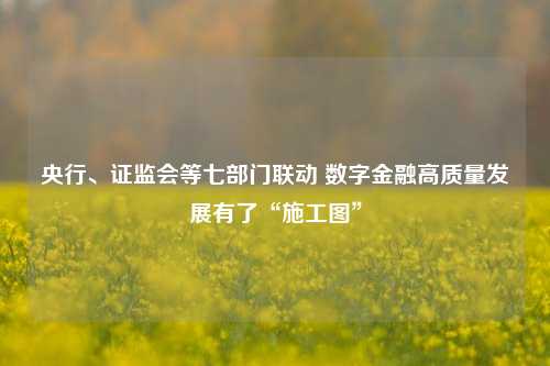 央行、证监会等七部门联动 数字金融高质量发展有了“施工图”-第1张图片-特色小吃做法