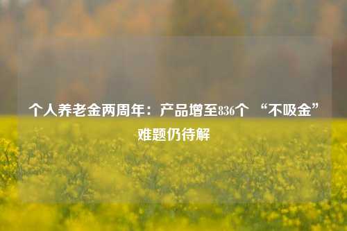 个人养老金两周年：产品增至836个 “不吸金”难题仍待解-第1张图片-特色小吃做法