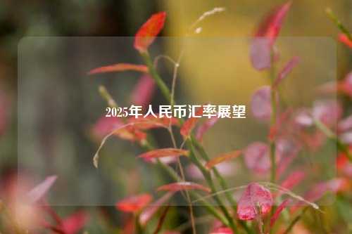 2025年人民币汇率展望-第1张图片-特色小吃做法