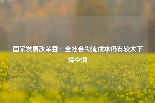 国家发展改革委：全社会物流成本仍有较大下降空间-第1张图片-特色小吃做法