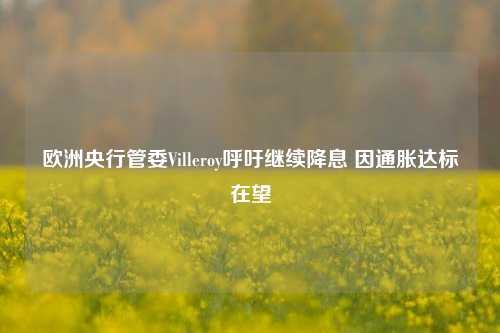 欧洲央行管委Villeroy呼吁继续降息 因通胀达标在望-第1张图片-特色小吃做法