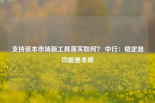 支持资本市场新工具落实如何？ 中行：稳定器功能是本质-第1张图片-特色小吃做法