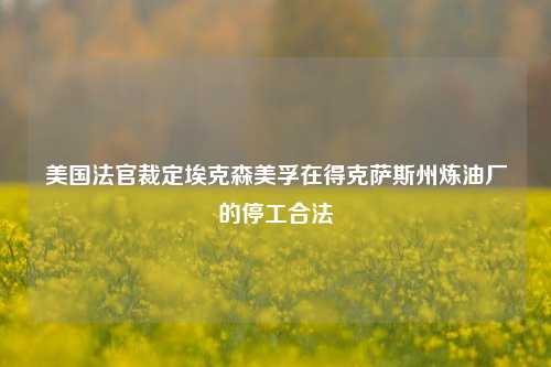 美国法官裁定埃克森美孚在得克萨斯州炼油厂的停工合法-第1张图片-特色小吃做法