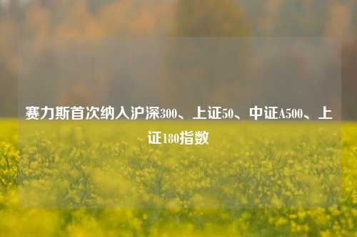 赛力斯首次纳入沪深300、上证50、中证A500、上证180指数-第1张图片-特色小吃做法