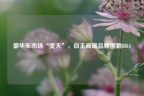 豪华车市场“变天”，自主高端品牌围剿BBA-第1张图片-特色小吃做法