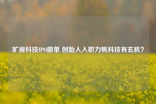 旷视科技IPO撤单 创始人入职力帆科技有玄机？-第1张图片-特色小吃做法