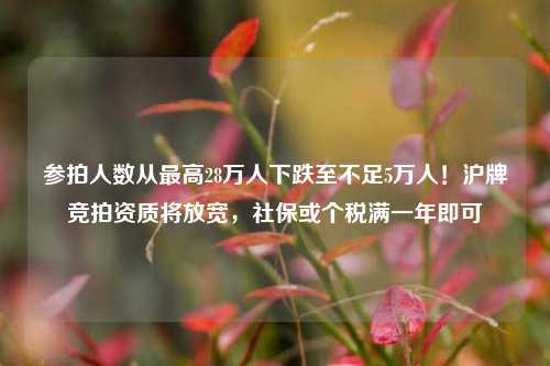 参拍人数从最高28万人下跌至不足5万人！沪牌竞拍资质将放宽，社保或个税满一年即可-第1张图片-特色小吃做法