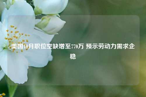 美国10月职位空缺增至770万 预示劳动力需求企稳-第1张图片-特色小吃做法