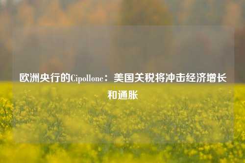 欧洲央行的Cipollone：美国关税将冲击经济增长和通胀-第1张图片-特色小吃做法