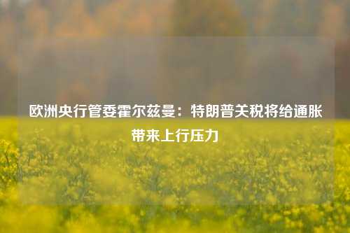 欧洲央行管委霍尔兹曼：特朗普关税将给通胀带来上行压力-第1张图片-特色小吃做法