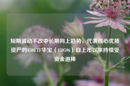 短期波动不改中长期向上趋势，代表核心优质资产的A50ETF华宝（159596）自上市以来持续受资金追捧-第1张图片-特色小吃做法